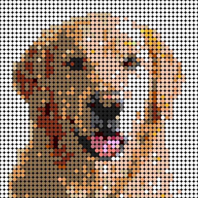 Retrato de perro personalizado en pixel art con dots tipo LEGO